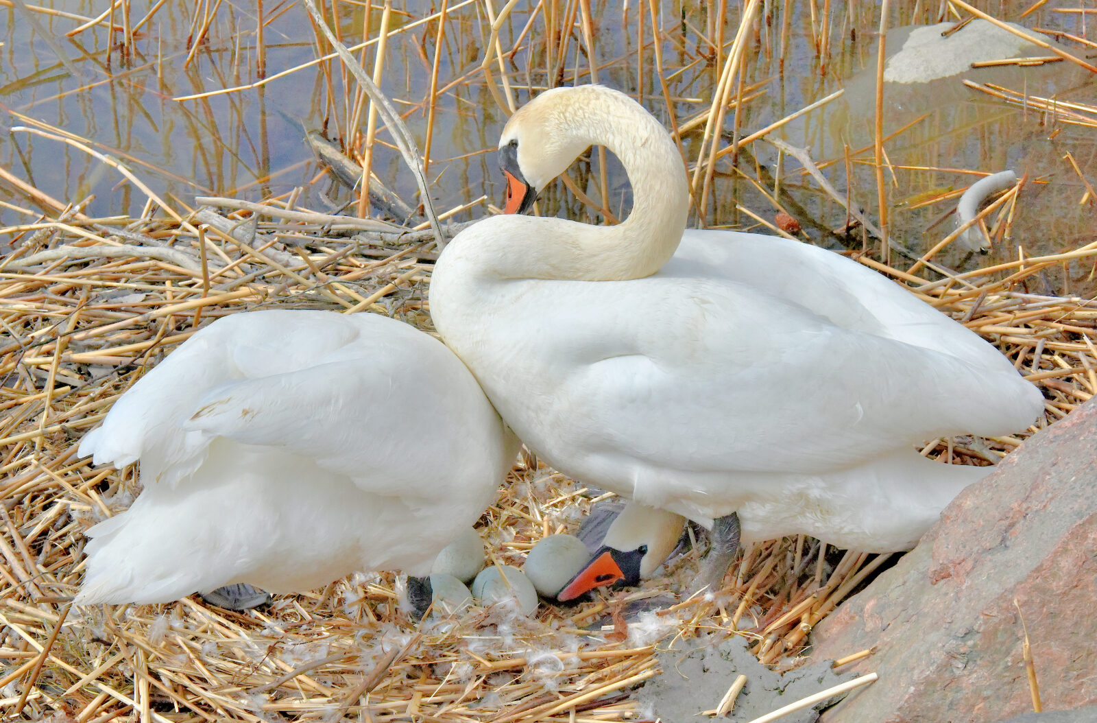 Valokuvaaja: Reijo Juurinen