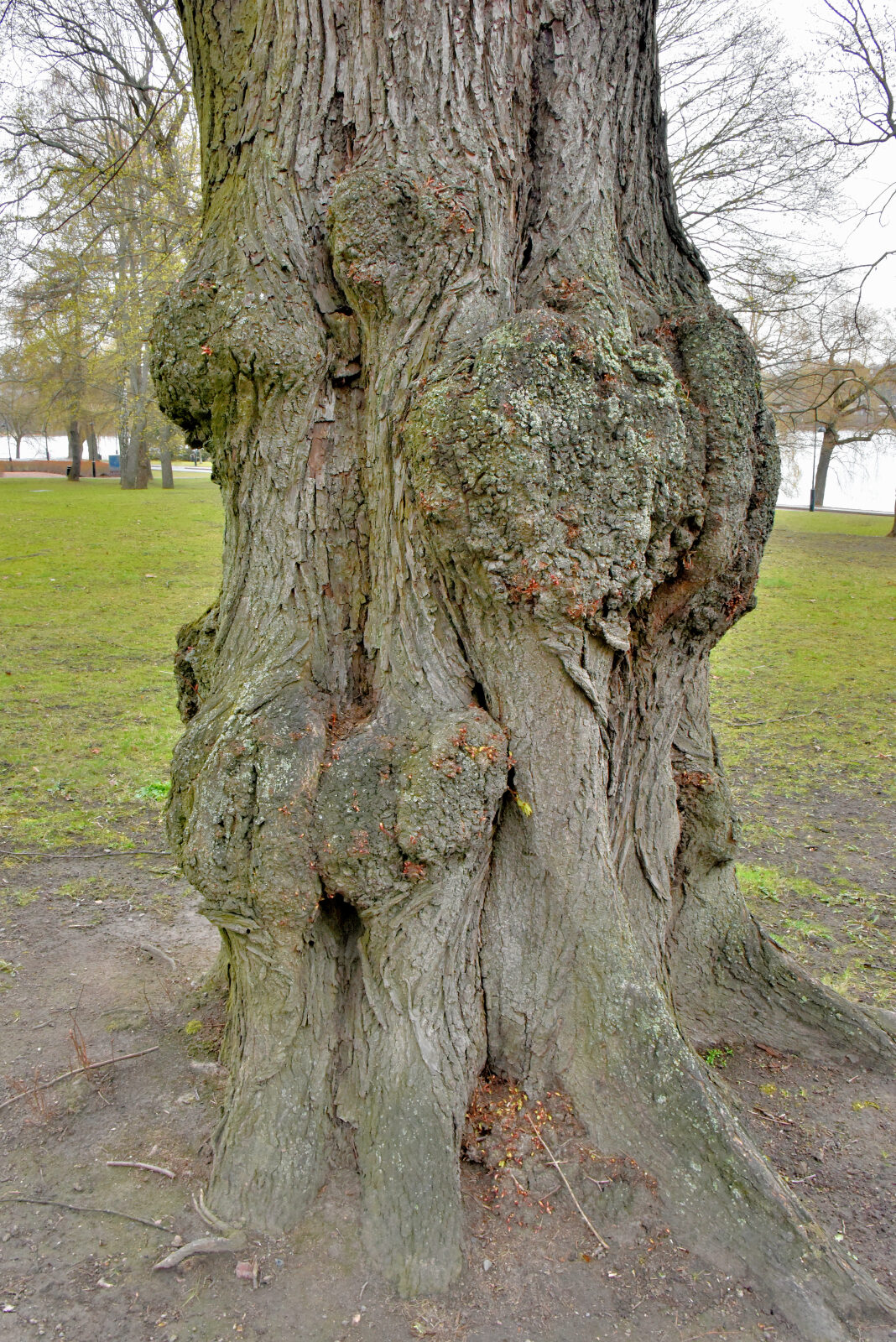 Valokuvaaja: Reijo Juurinen Valokuvaaja: Reijo Juurinen