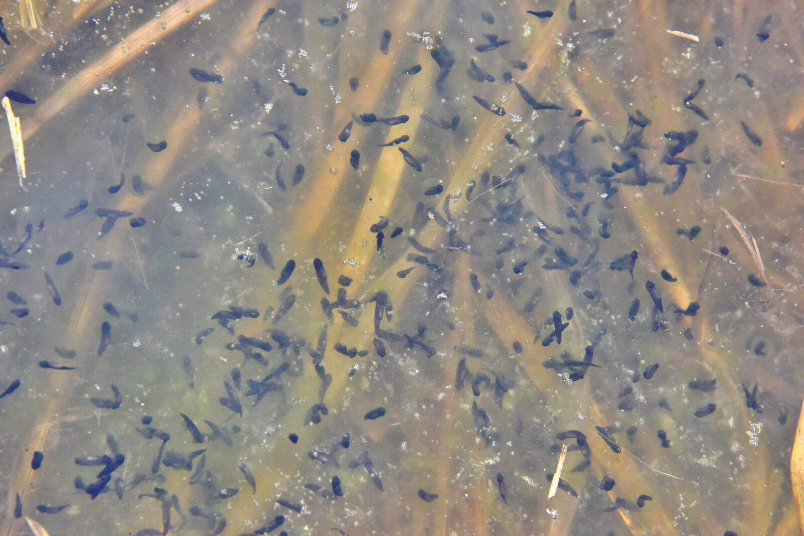 Valokuvaaja: Reijo Juurinen