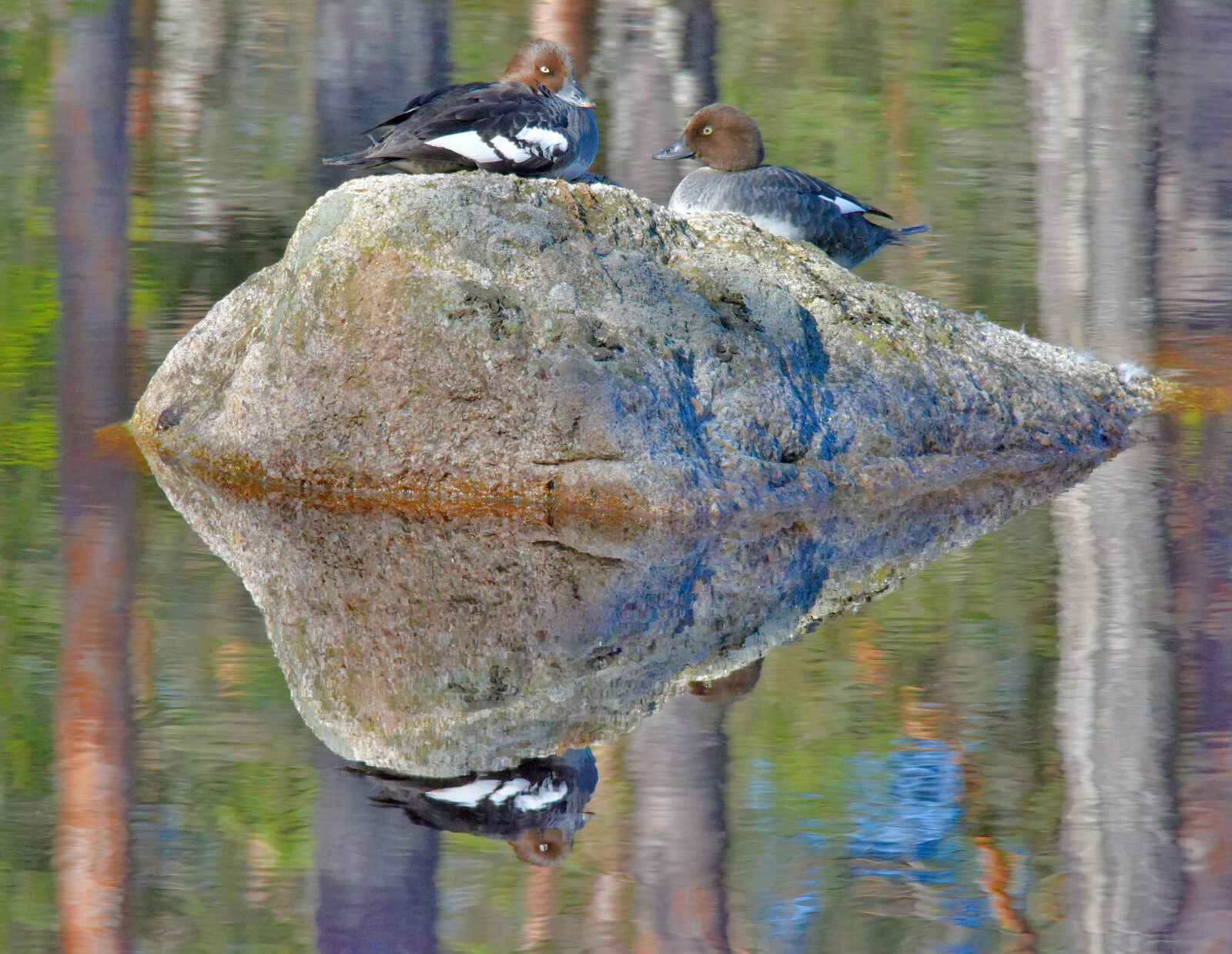 Valokuvaaja: Reijo Juurinen