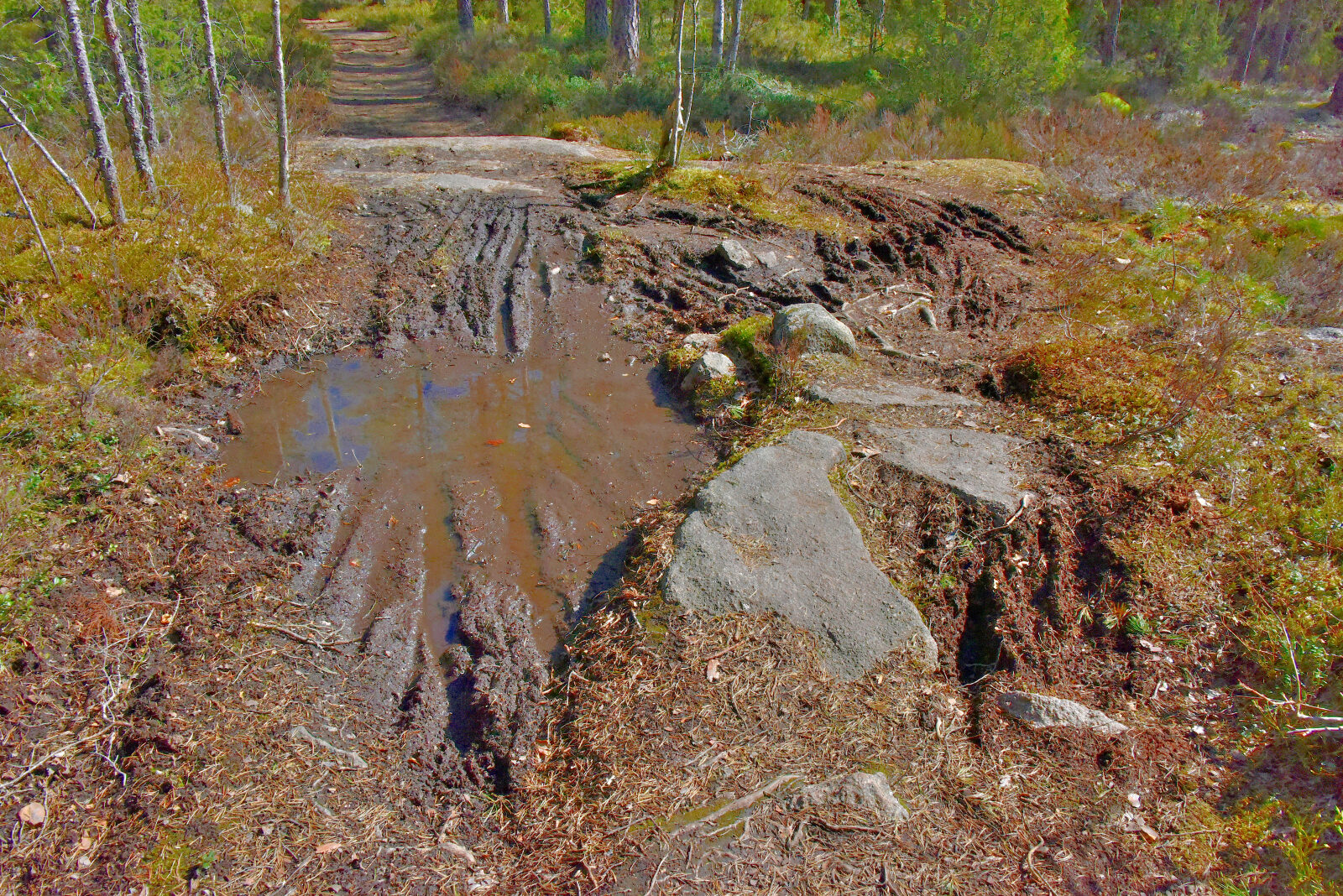 Valokuvaaja: Reijo Juurinen