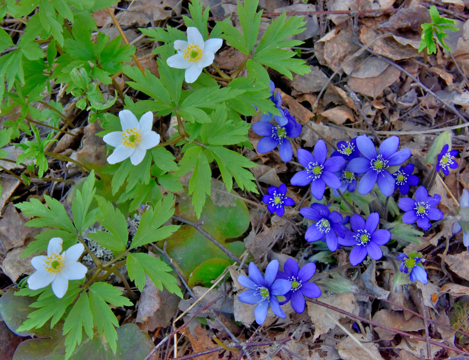 Valokuvaaja: Reijo Juurinen