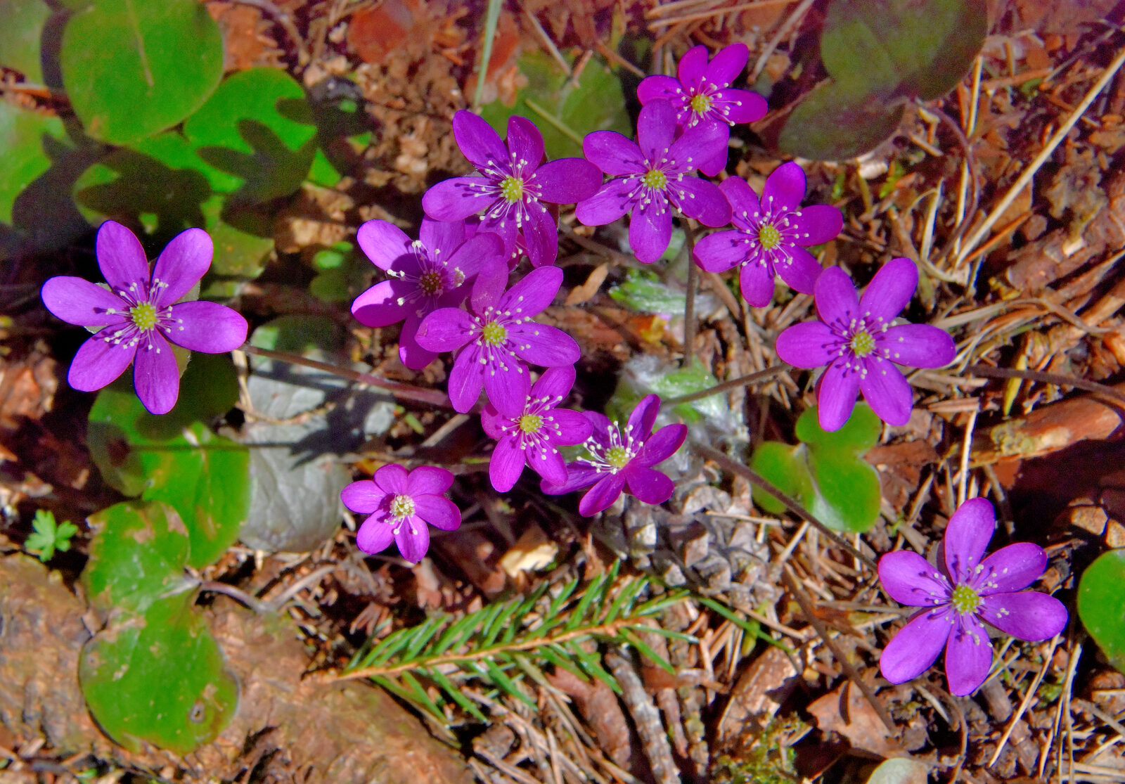Valokuvaaja: Reijo Juurinen