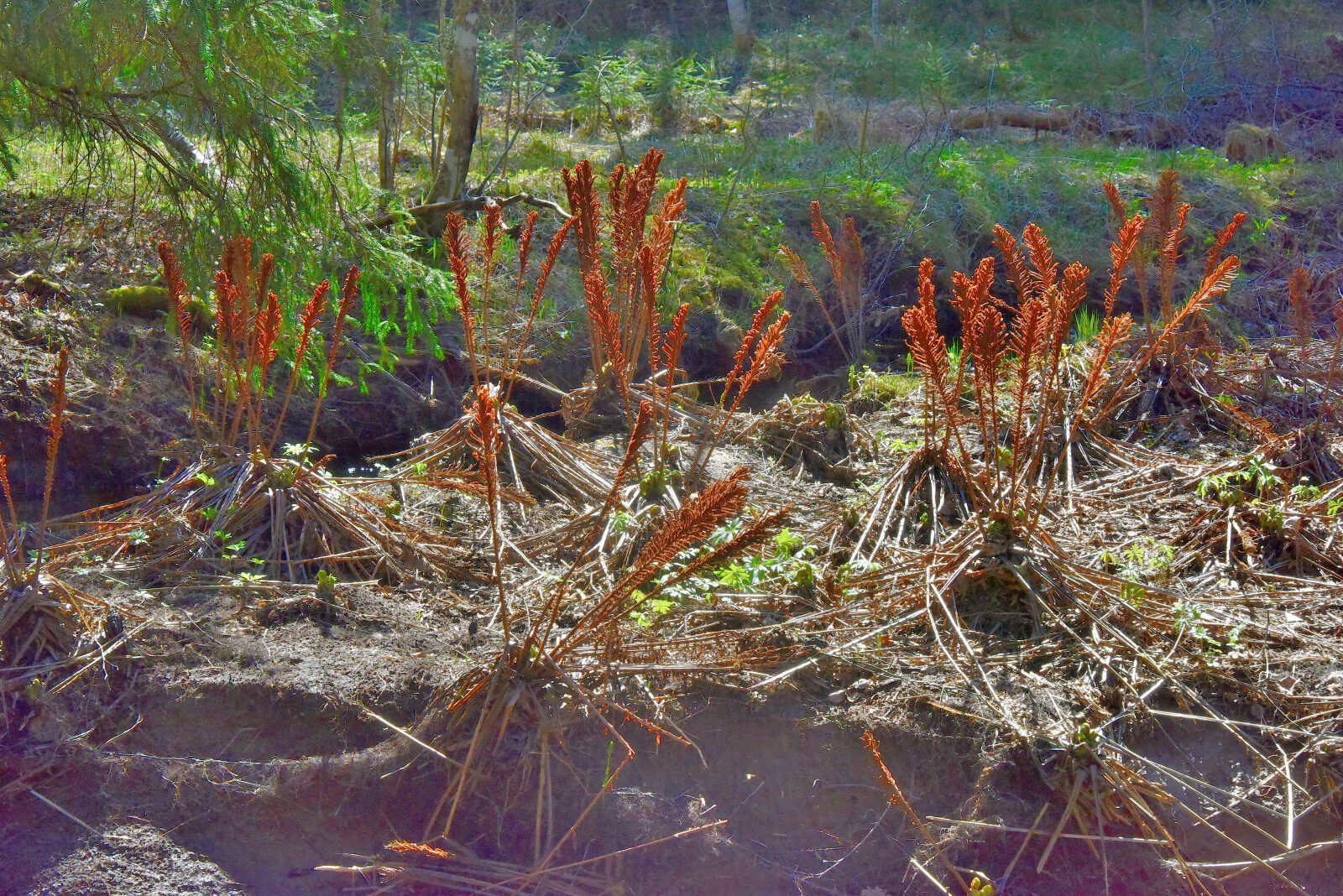 Valokuvaaja: Reijo Juurinen