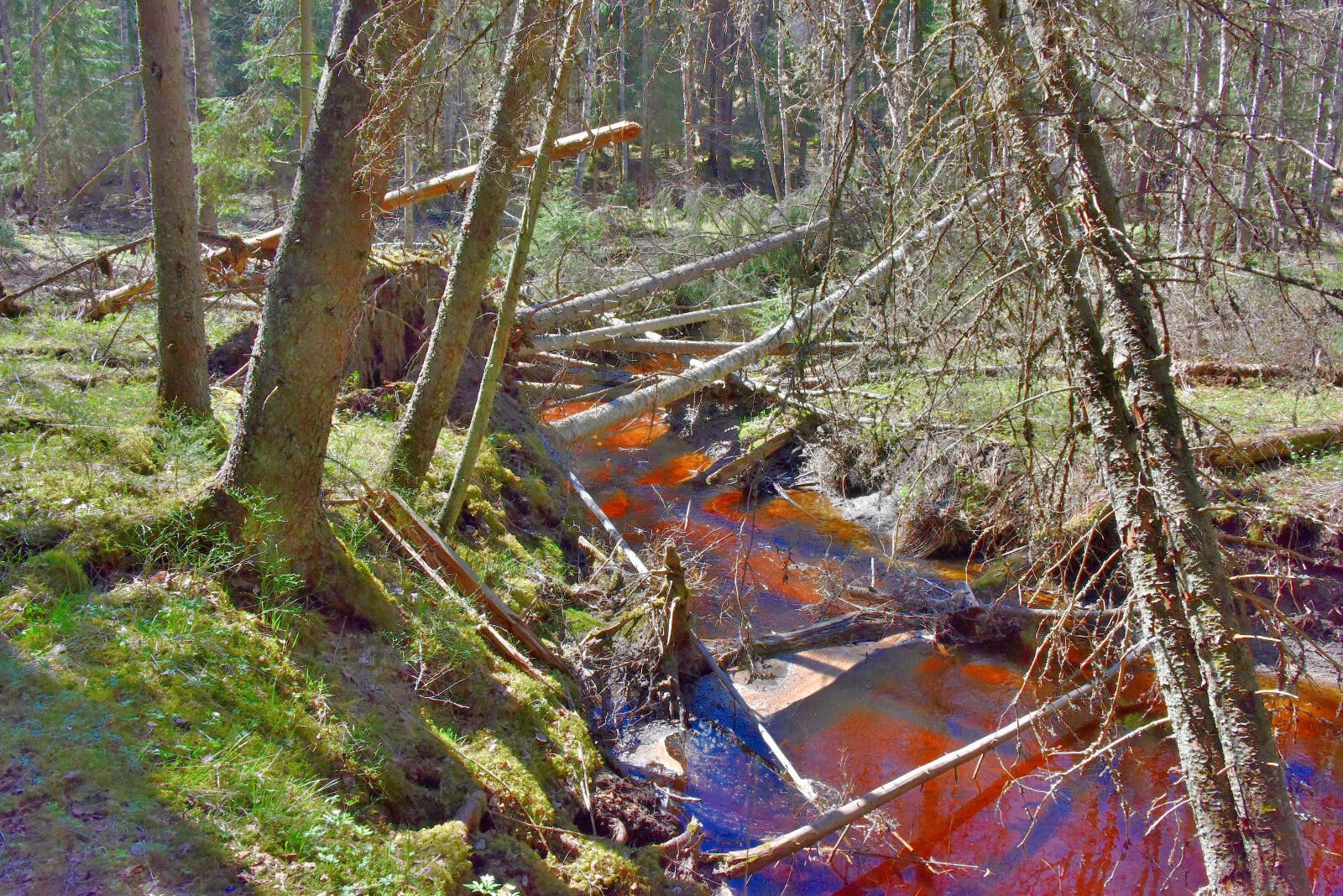 Valokuvaaja: Reijo Juurinen