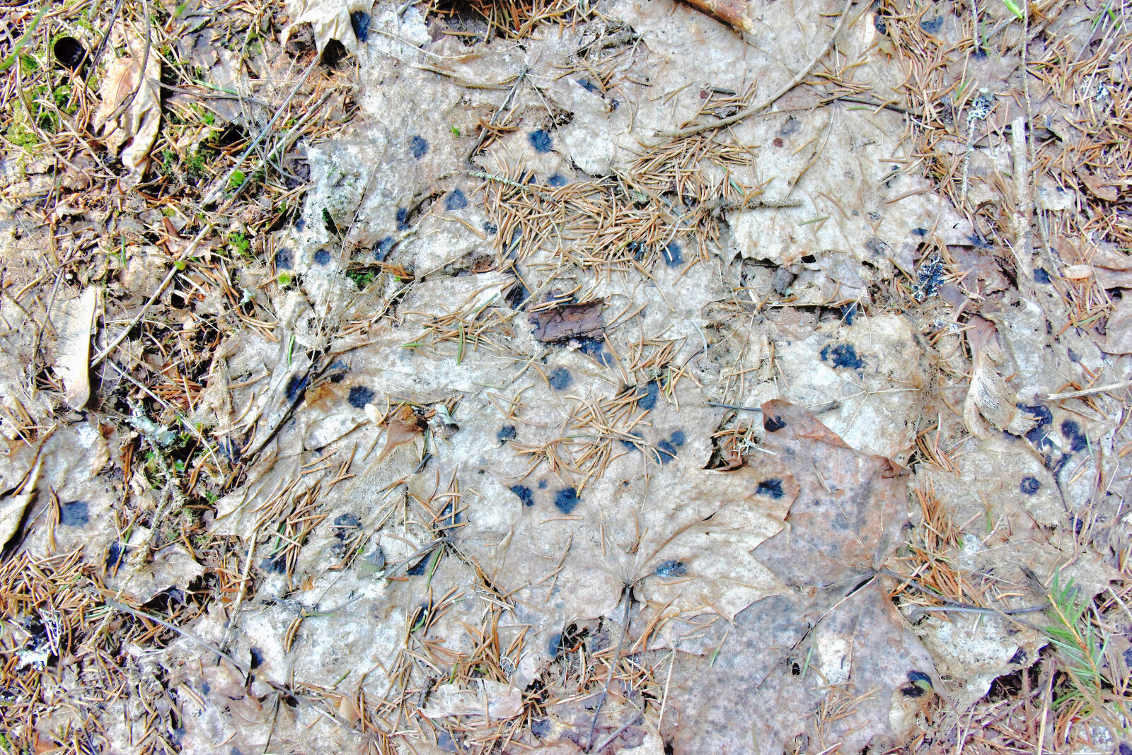 Valokuvaaja: Reijo Juurinen