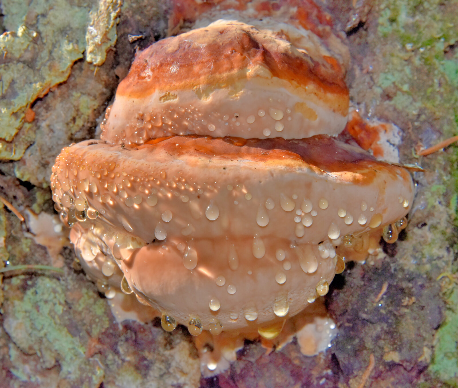 Valokuvaaja: Reijo Juurinen