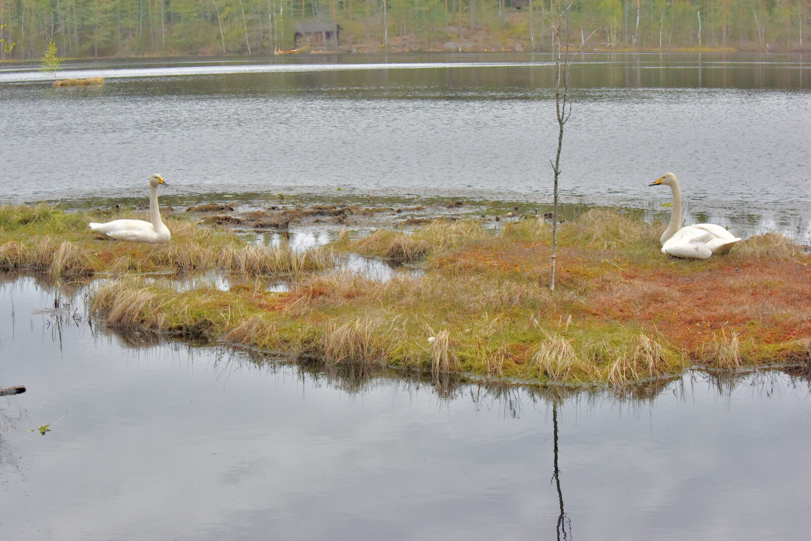 Valokuvaaja: Reijo Juurinen