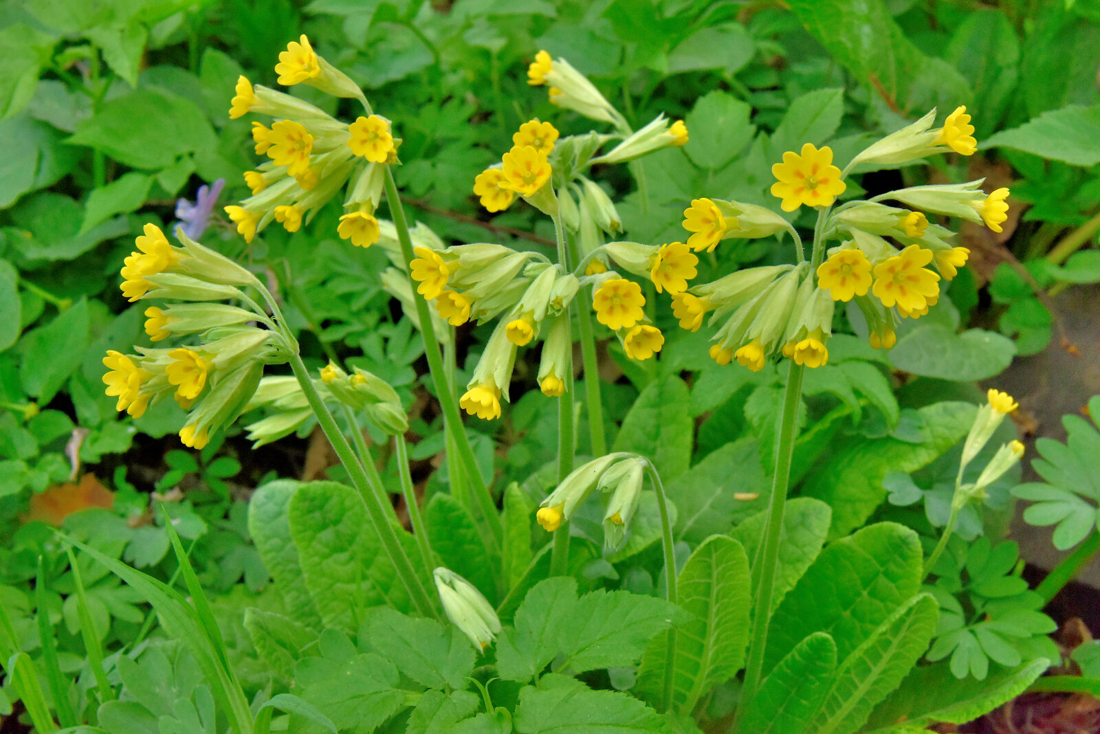 Valokuvaaja: Reijo Juurinen