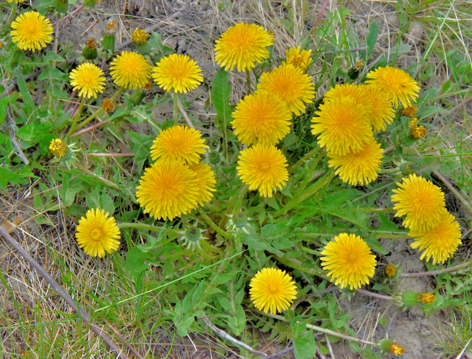 Valokuvaaja: Reijo Juurinen