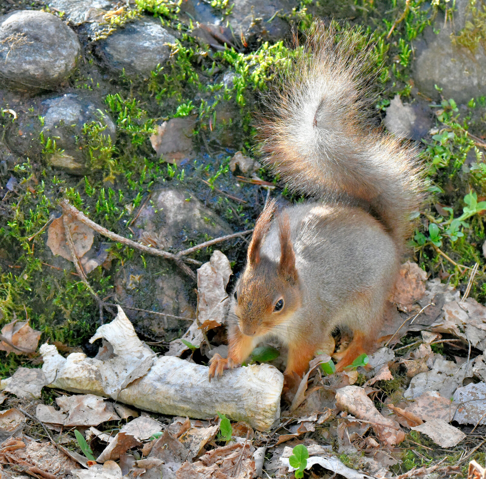 Valokuvaaja: Reijo Juurinen