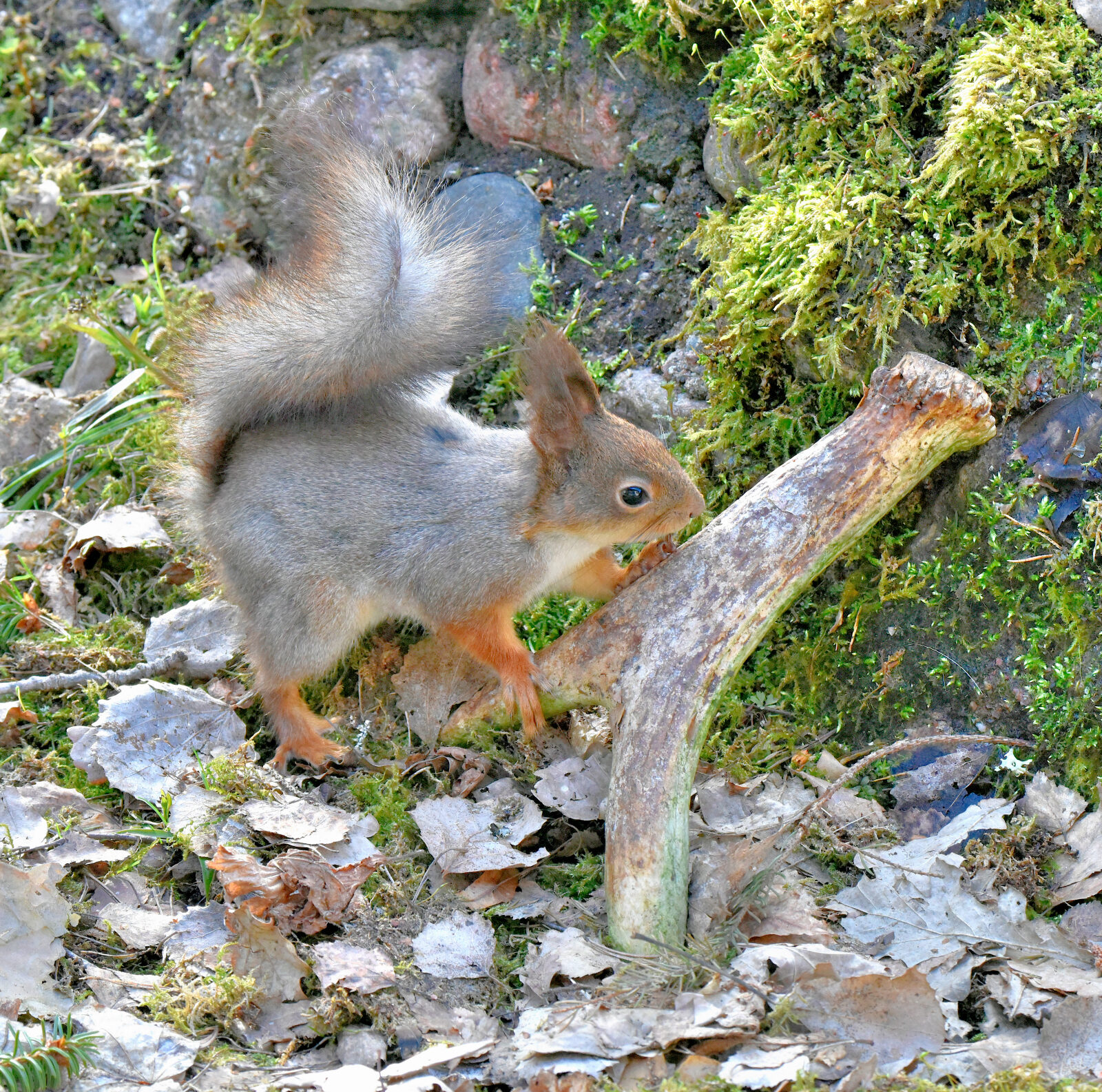 Valokuvaaja: Reijo Juurinen