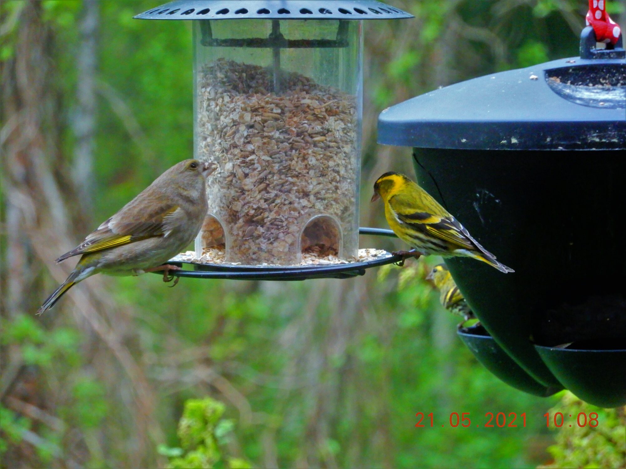 Valokuvaaja: Kalle  Matti Väänänen