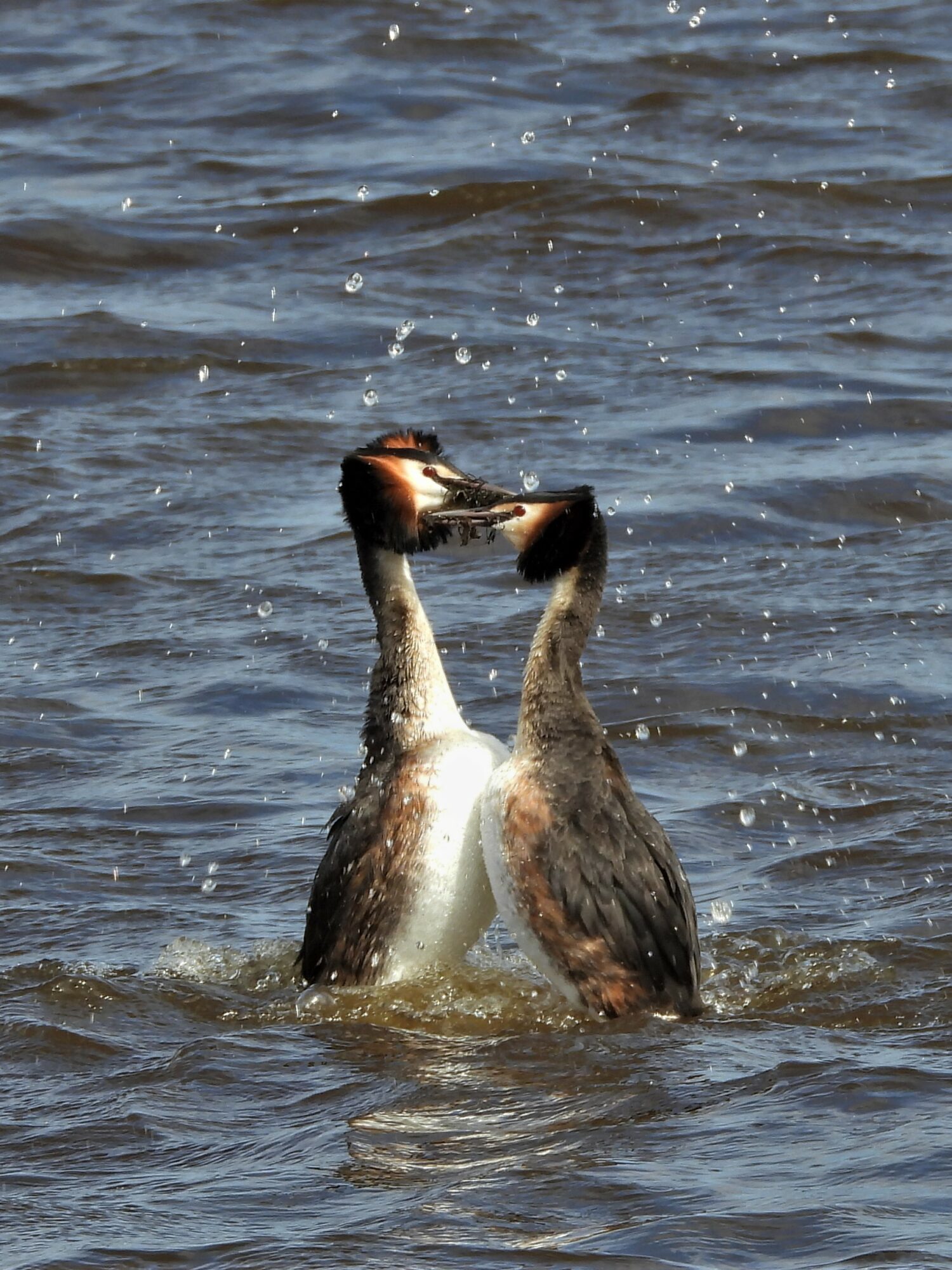 Valokuvaaja: Maarit Siitonen