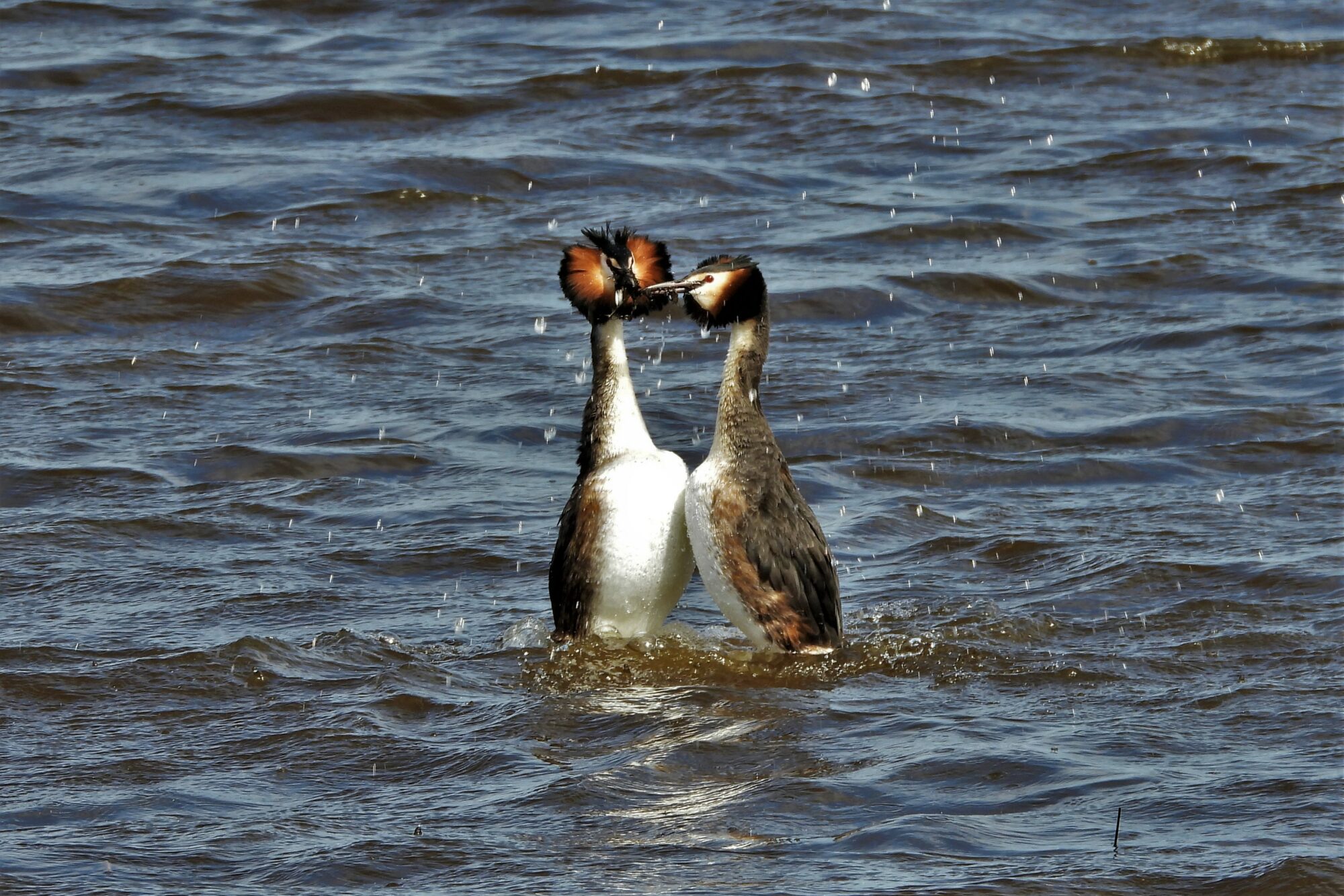 Valokuvaaja: Maarit Siitonen
