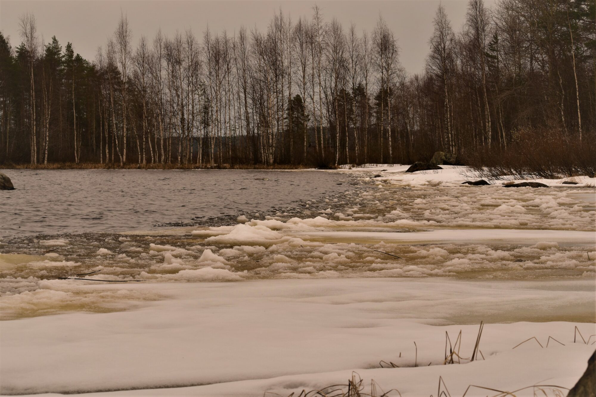 Valokuvaaja: Lahja Toivanen