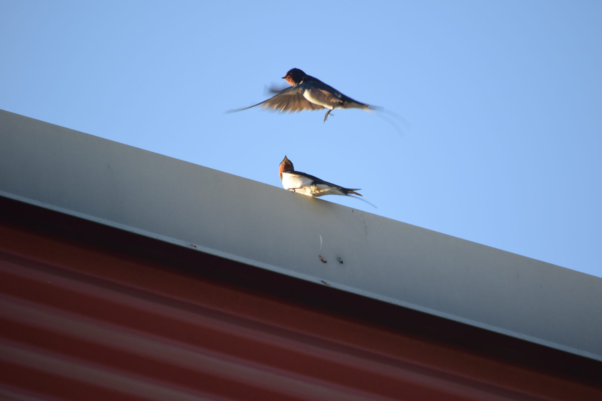 Valokuvaaja: Riitta  Marjamäki