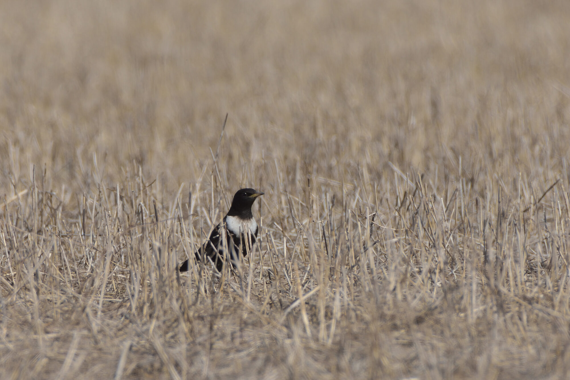Valokuvaaja: Asko Heikkinen