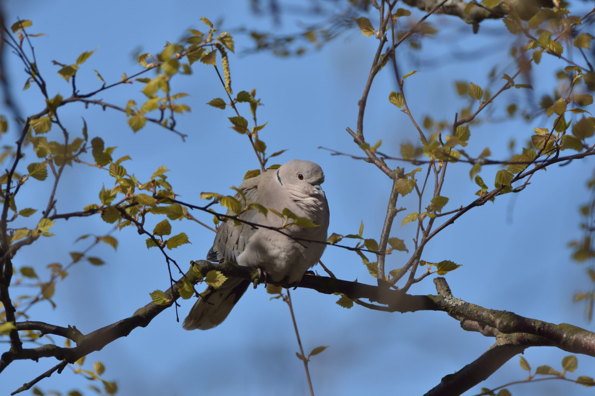 Valokuvaaja: Asko Heikkinen Valokuvaaja: Asko Heikkinen