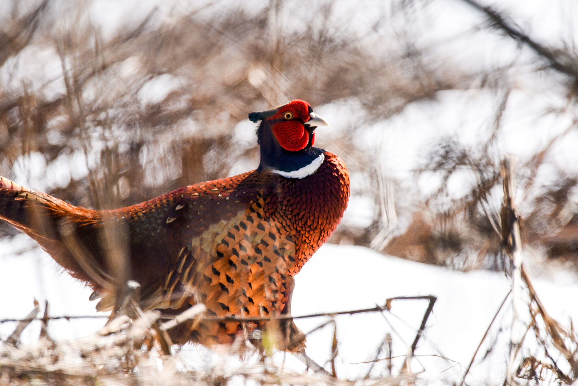 Valokuvaaja: Maija Savolainen