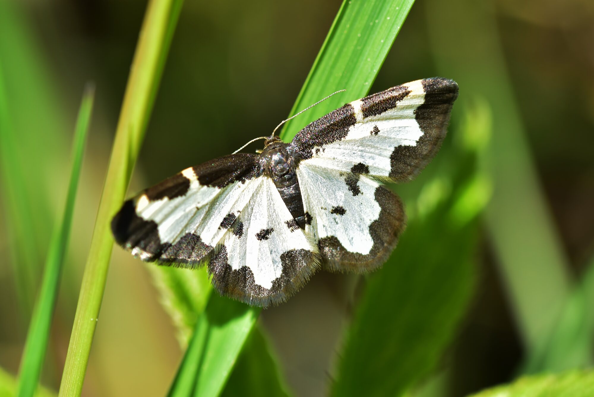 Valokuvaaja: Markku Pelkonen