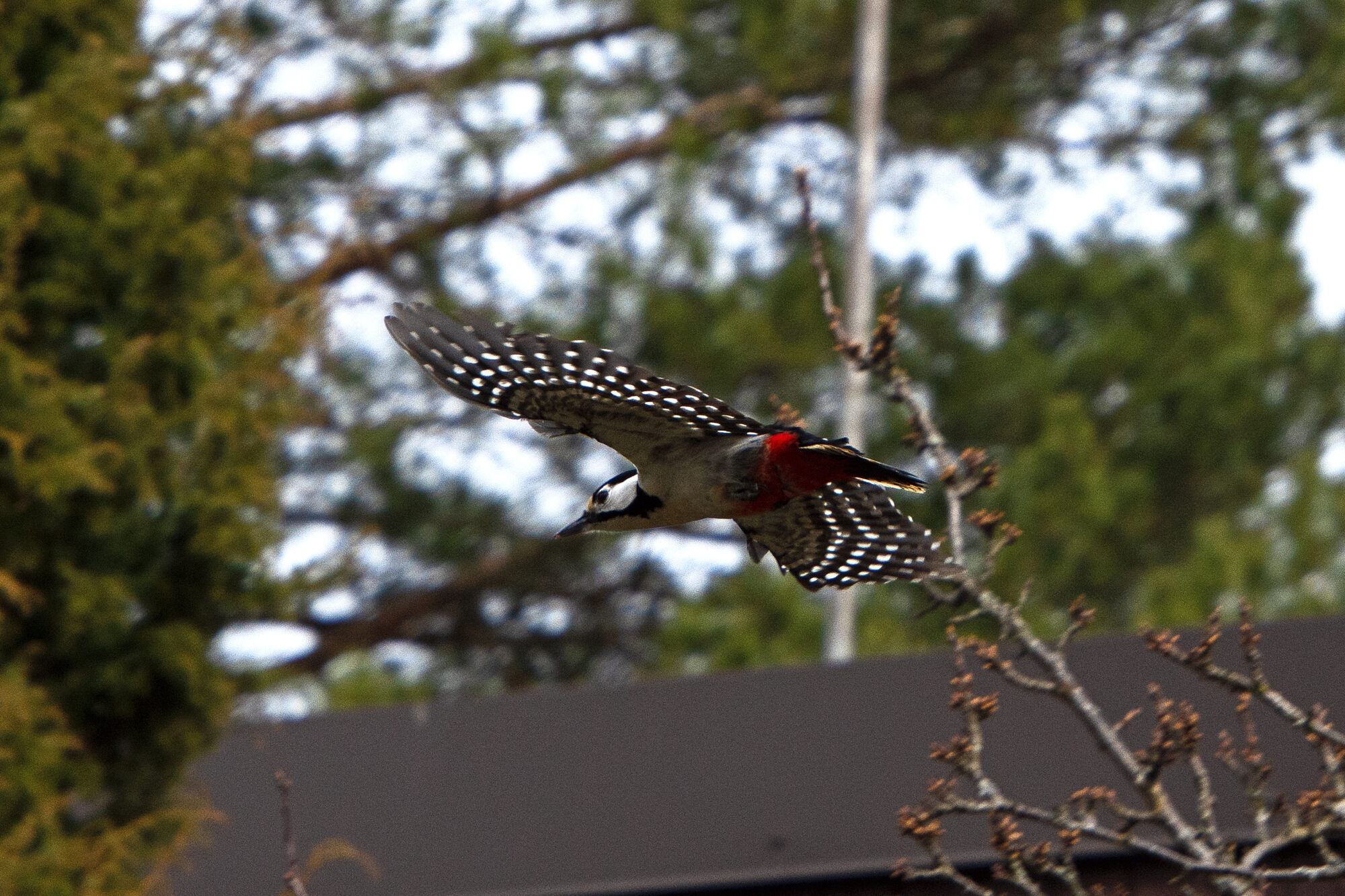 Valokuvaaja: Paavo Siukonen