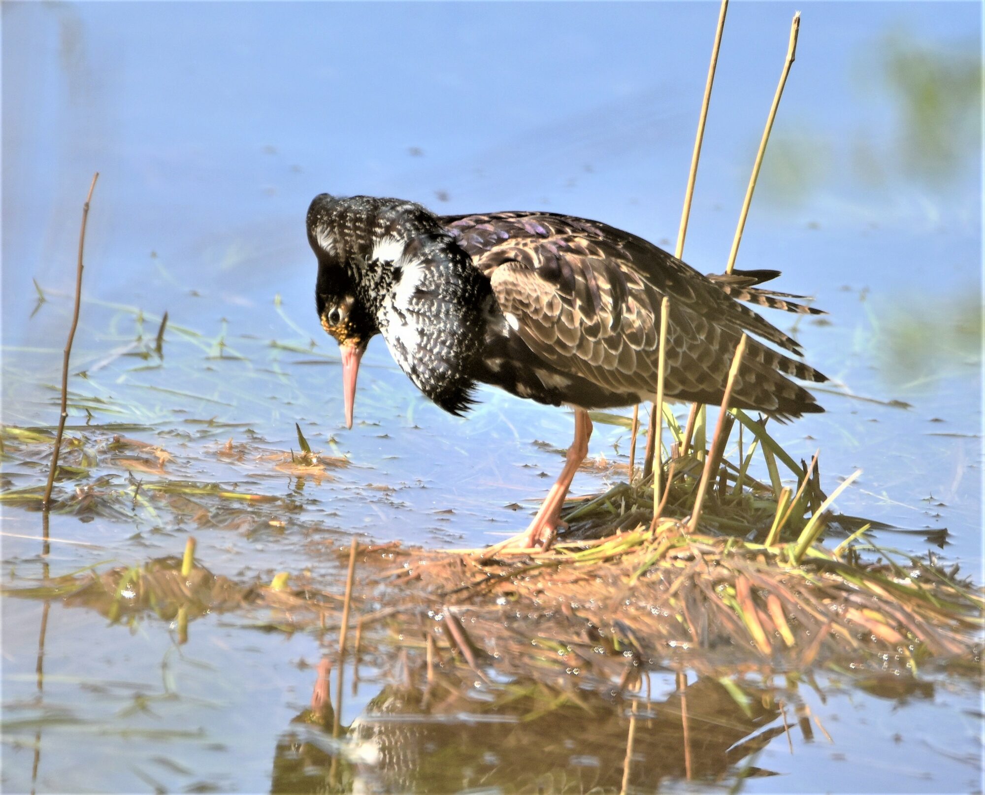 Valokuvaaja: Leena Latvala