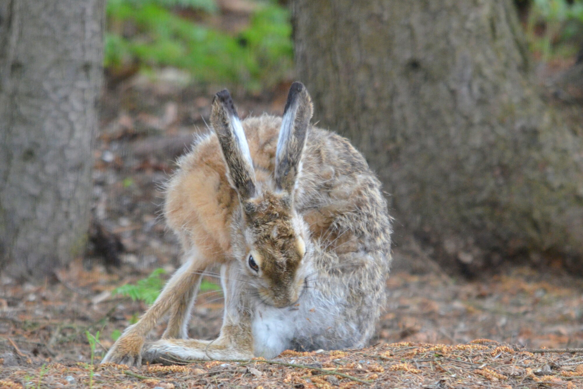 Valokuvaaja: Kalle Asikainen