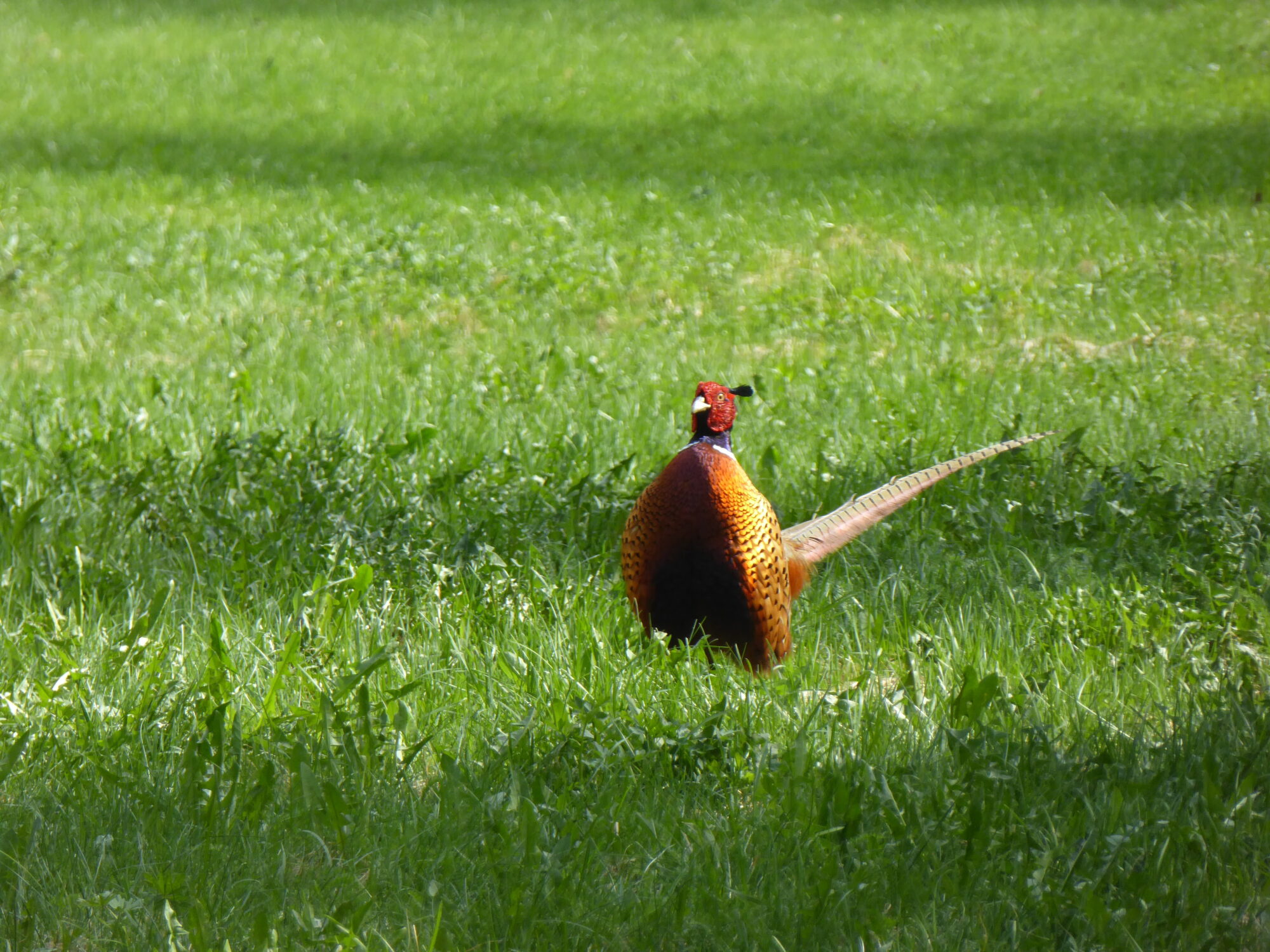 Valokuvaaja: Toni Asikainen