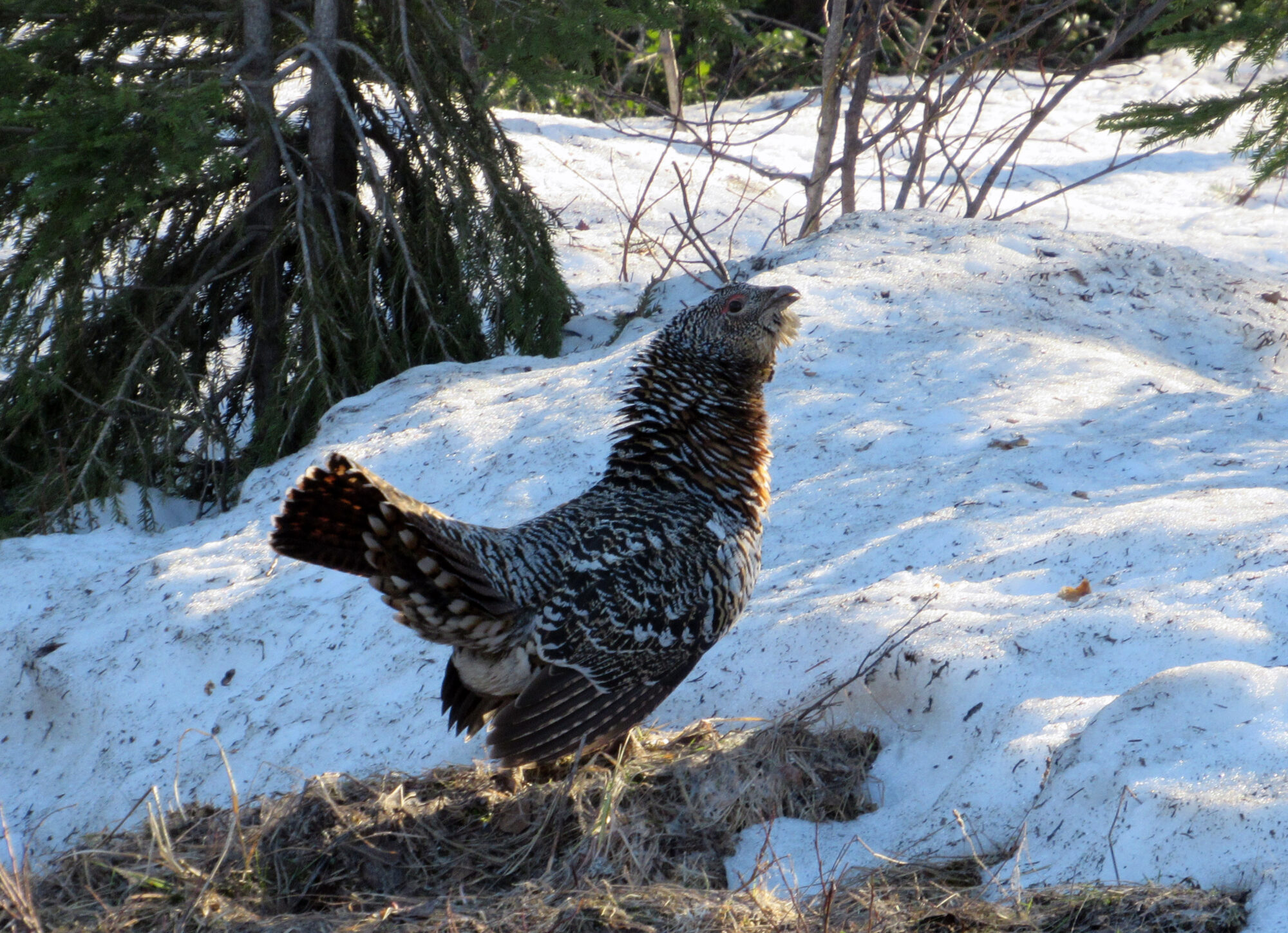 Valokuvaaja: Sami Viljanmaa