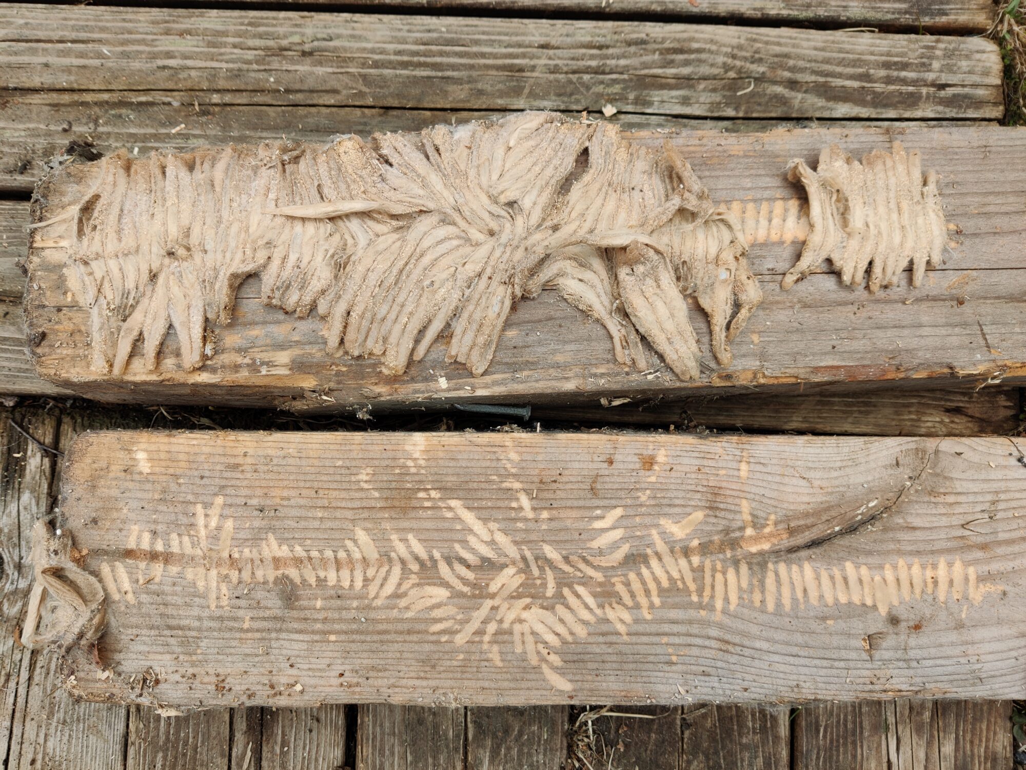 Valokuvaaja: Paavo Siukonen