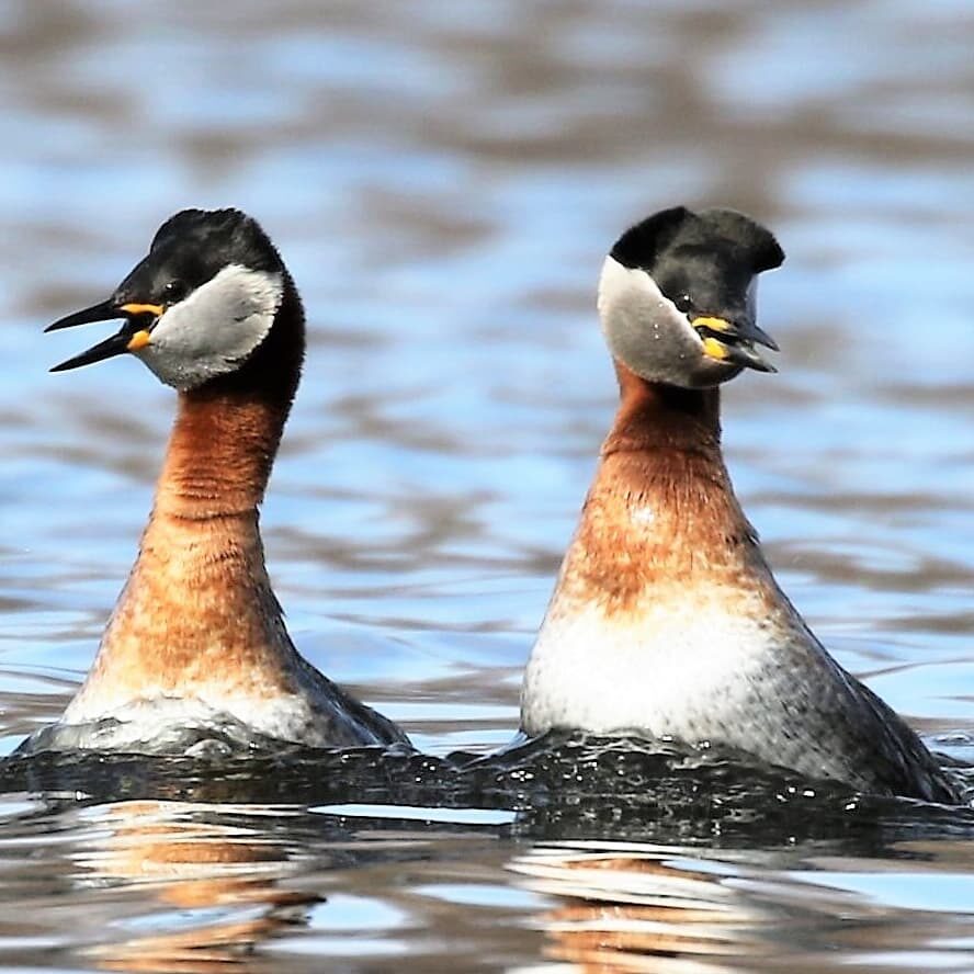 Valokuvaaja: Anne Keskivinkka