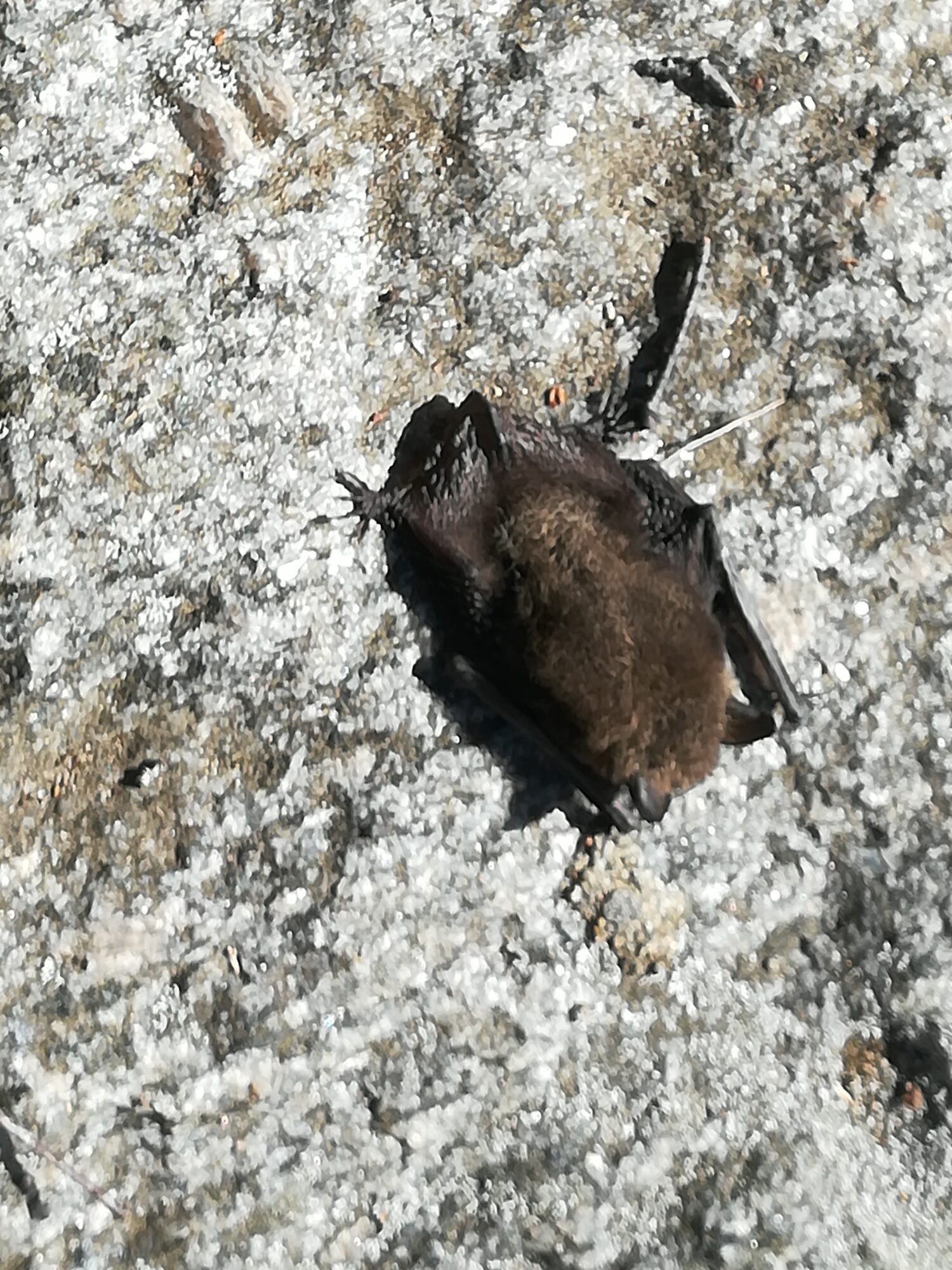 Valokuvaaja: Marjatta Jokela