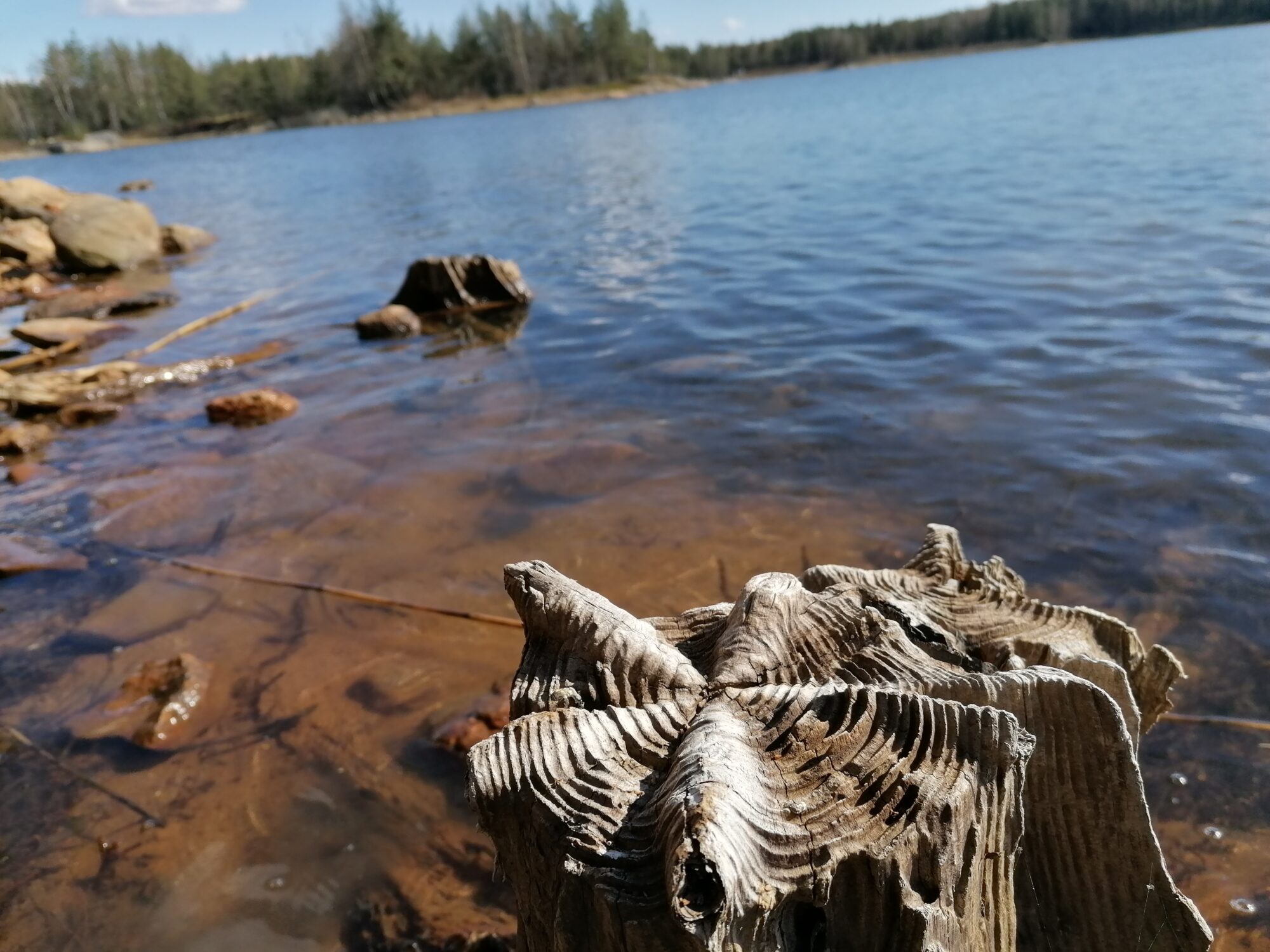 Valokuvaaja: Ronja Niinikorpi
