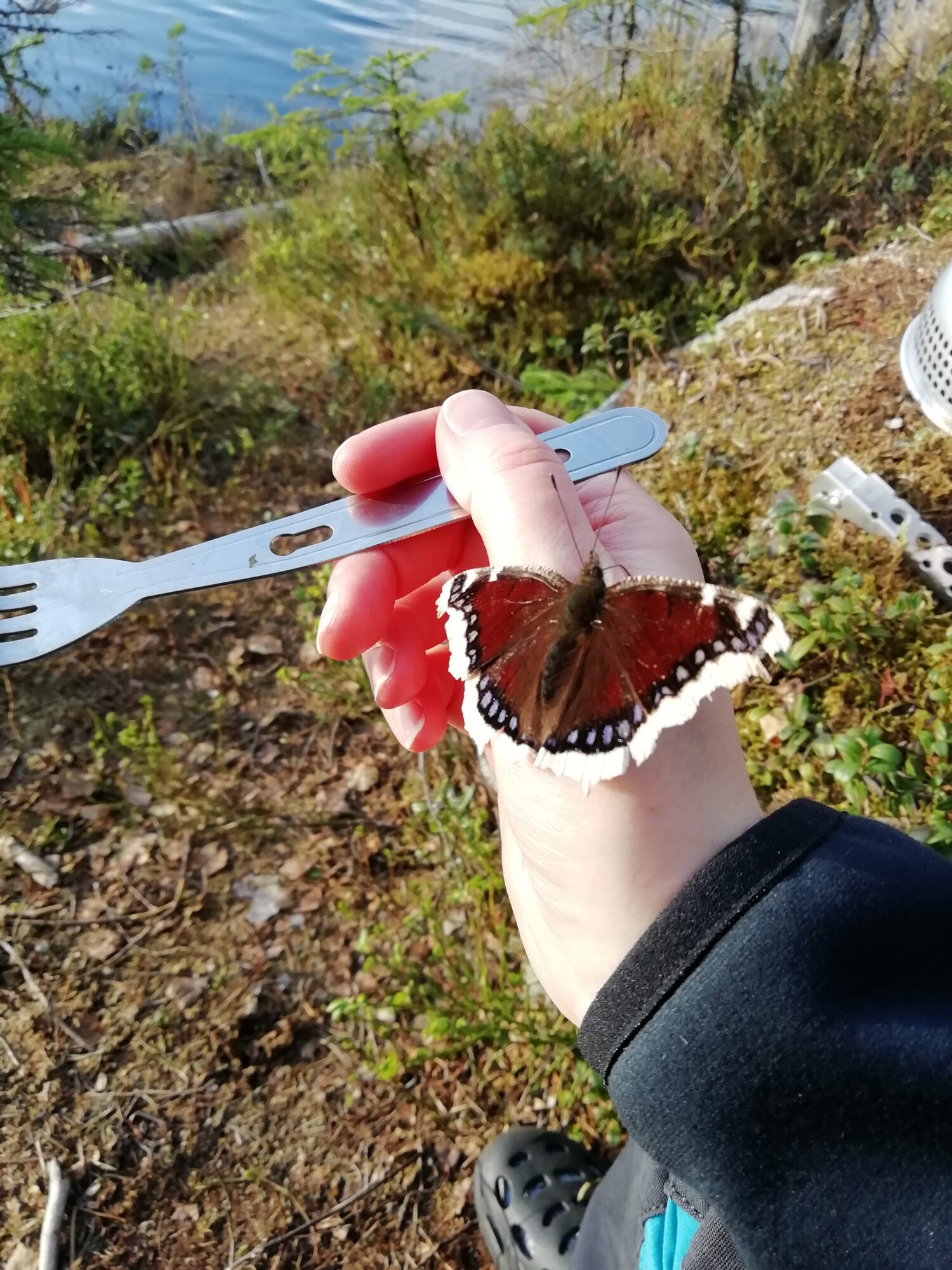 Valokuvaaja: Anne-Mari Kavakka