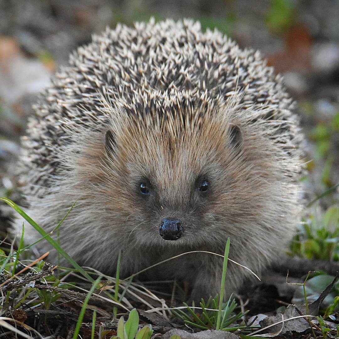 Valokuvaaja: eraopa_s