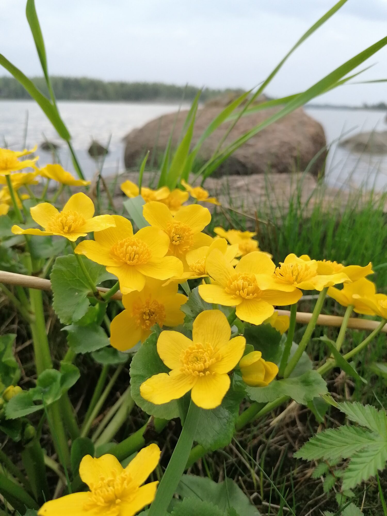Valokuvaaja: Antton Karhu