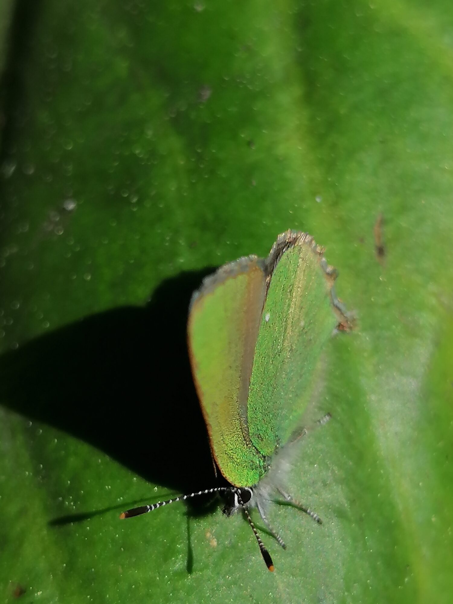 Valokuvaaja: Antton Karhu