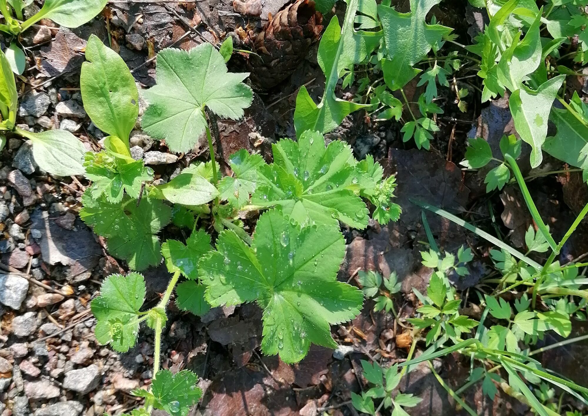 Valokuvaaja: Kaija Halonen