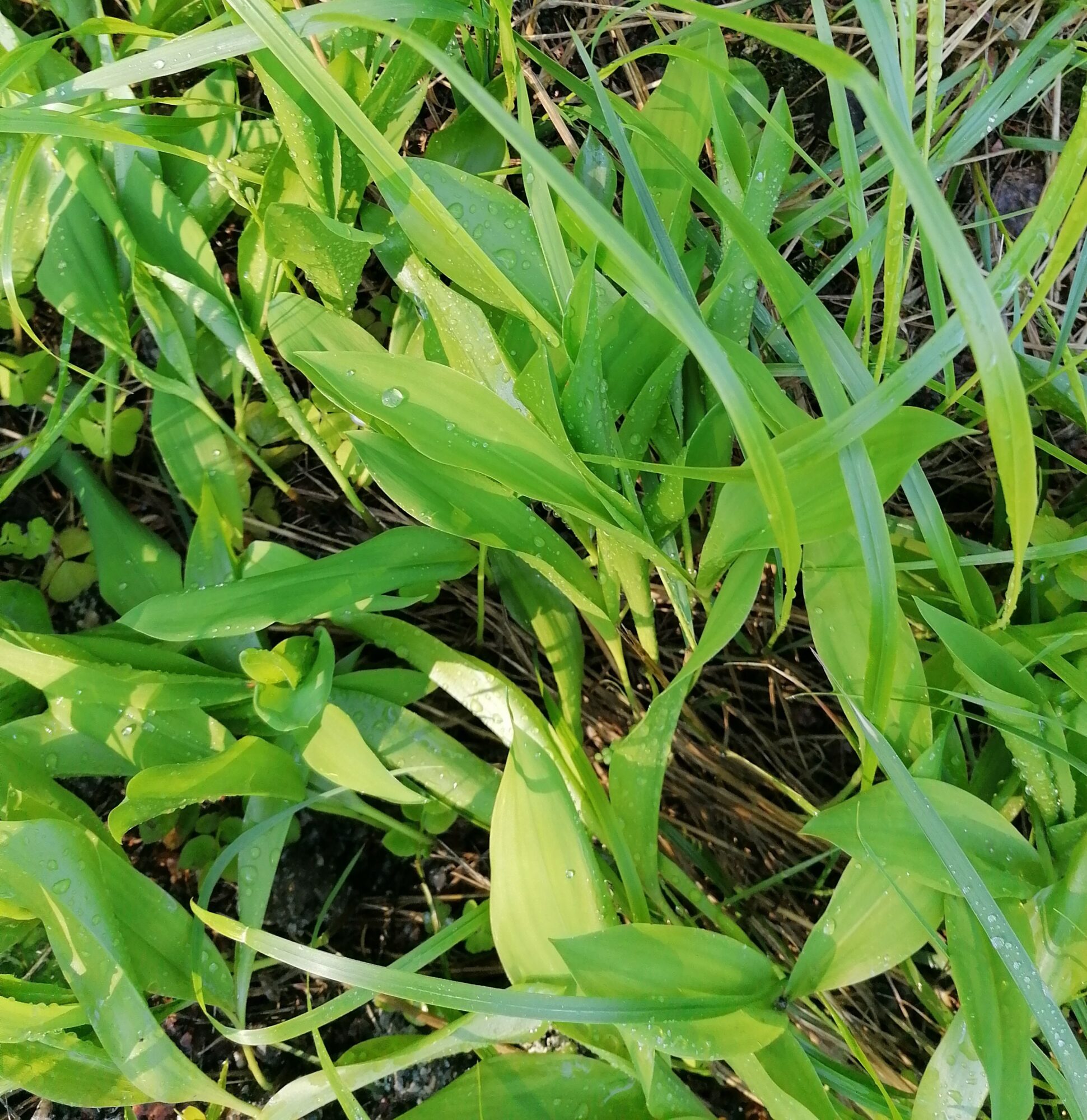 Valokuvaaja: Kaija Halonen