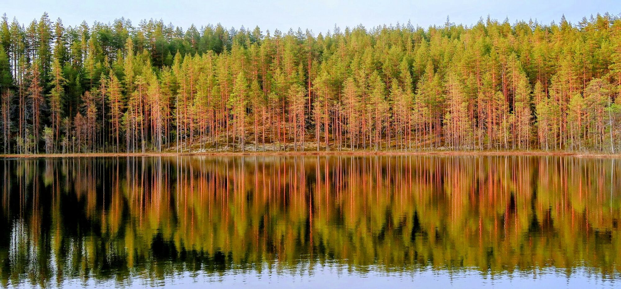 Valokuvaaja: Erkki Timonen
