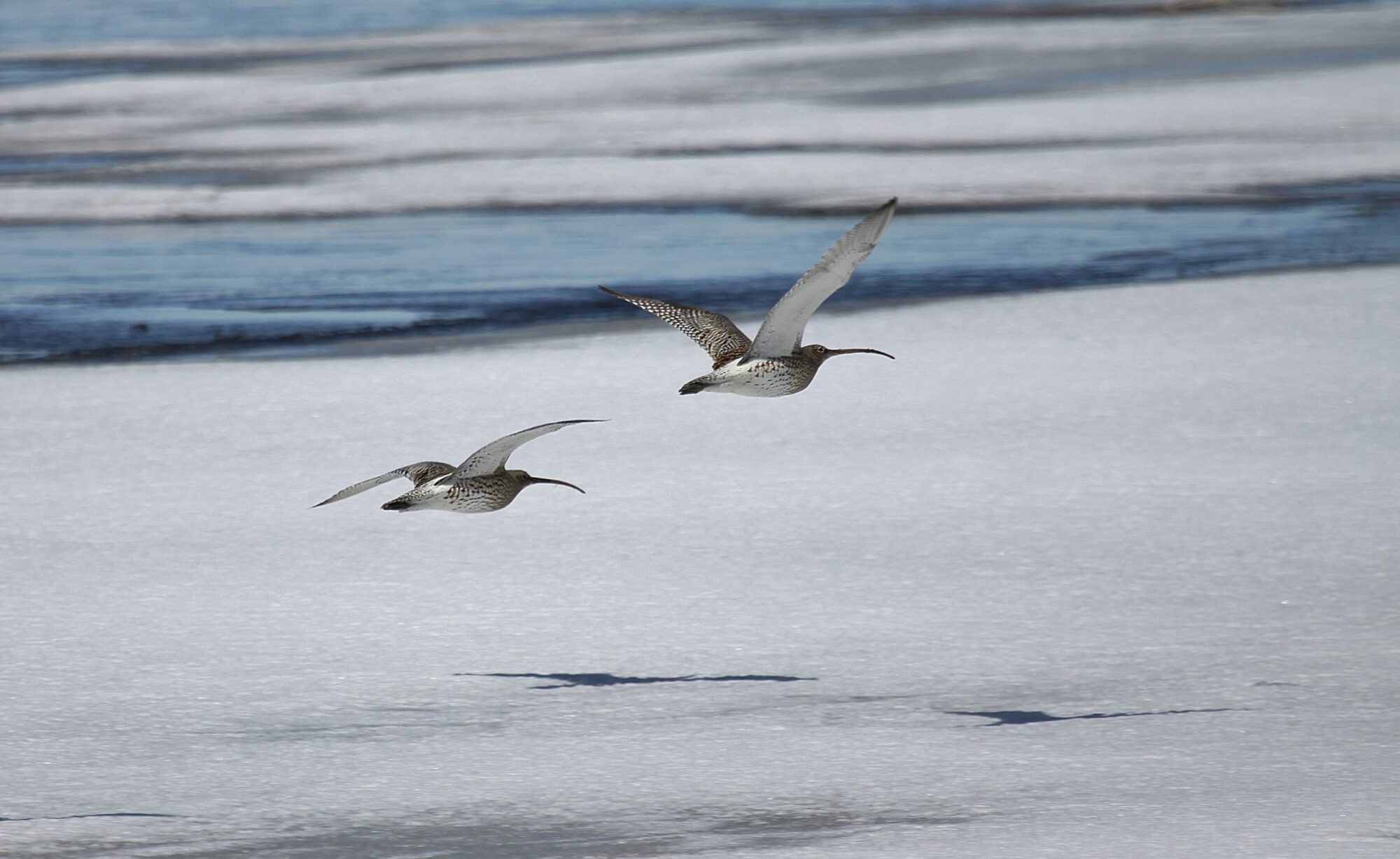 Valokuvaaja: Pirkko Siukonen