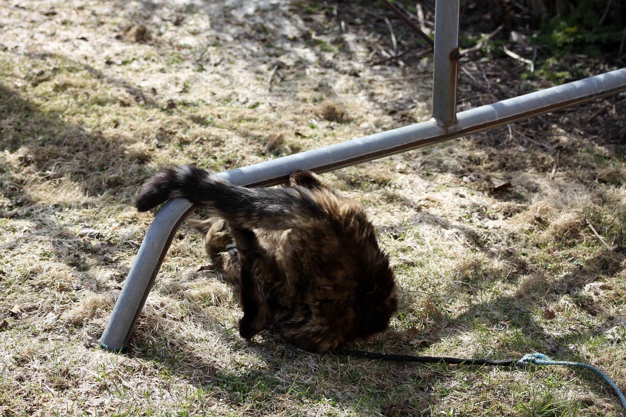 Valokuvaaja: Pirkko Siukonen