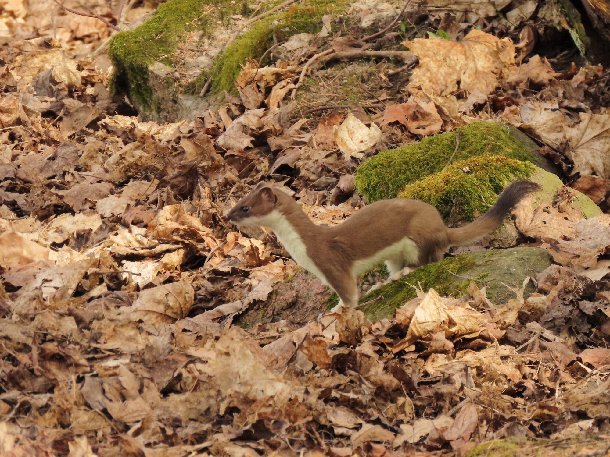 Valokuvaaja: Pentti Halonen