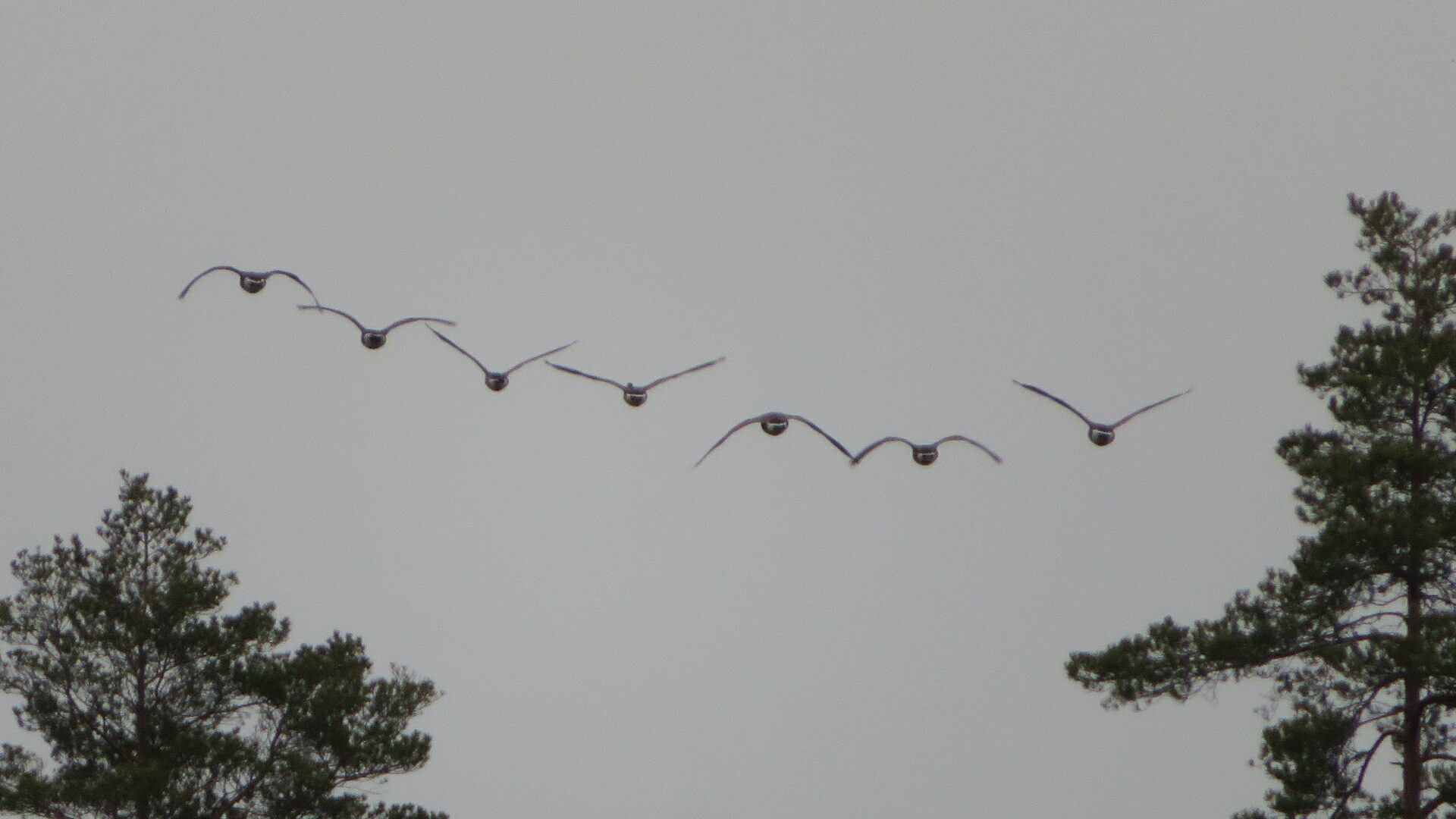 Valokuvaaja: Risto Kangassalo