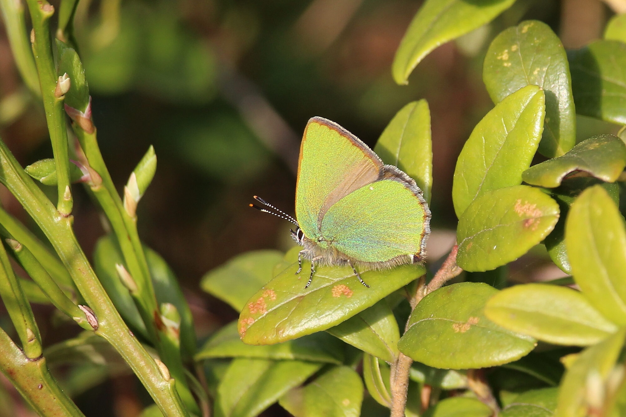 Valokuvaaja: Kirsi-Marja Joenpolvi