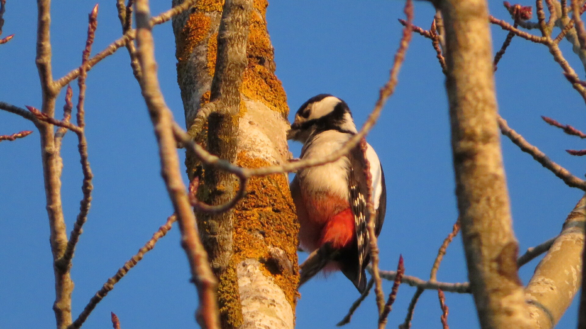 Valokuvaaja: Risto Kangassalo Valokuvaaja: Risto Kangassalo
