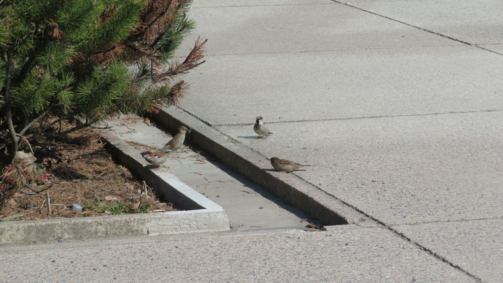 Valokuvaaja: Risto Kangassalo