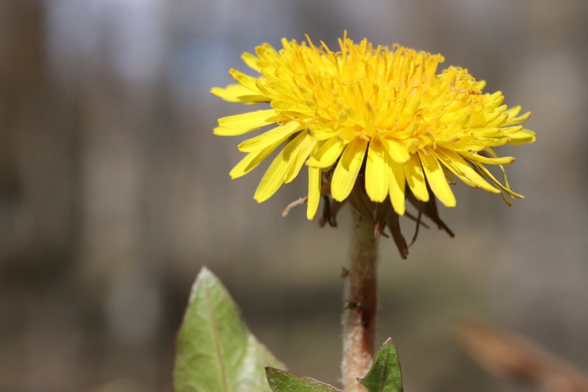 Valokuvaaja: Irja Lehtinen