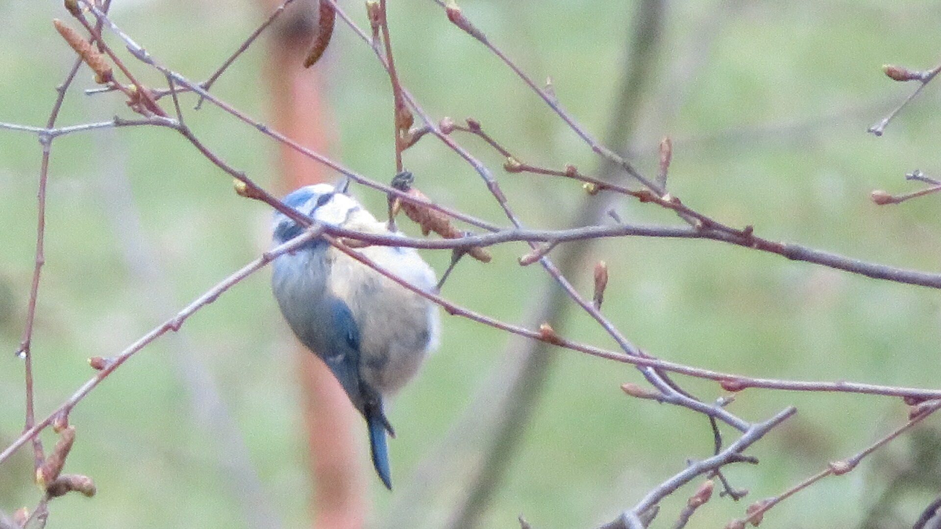 Valokuvaaja: Risto Kangassalo